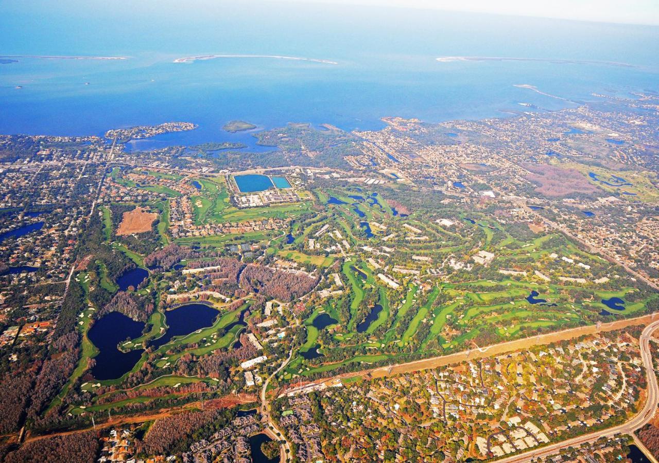 Innisbrook Resort Palm Harbor Εξωτερικό φωτογραφία